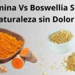 Curcumina Vs Boswelia Serrata
